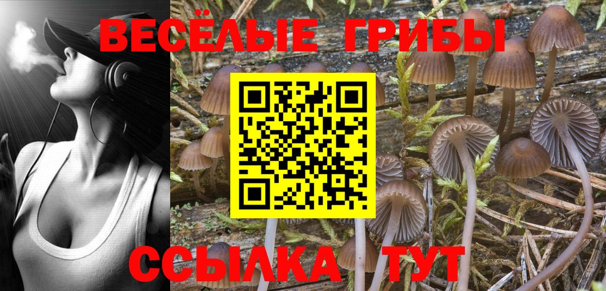 Псилоцибиновые грибы Magic Shrooms Зима