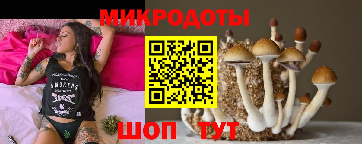 Псилоцибиновые грибы GOLDEN TEACHER  Псилоцибиновые грибы MAGIC MUSHROOMS  Вход с VPN  даркнет сайт  Зима 
